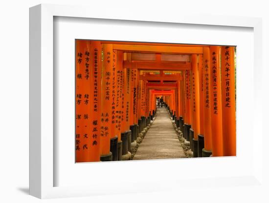 The Endless Red Gates (Torii) of Kyoto's Fushimi Inari Shrine, Kyoto, Japan, Asia-Michael Runkel-Framed Photographic Print