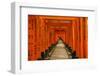 The Endless Red Gates (Torii) of Kyoto's Fushimi Inari Shrine, Kyoto, Japan, Asia-Michael Runkel-Framed Photographic Print