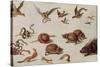 The Enemies of Snakes-Jan van Kessel-Stretched Canvas