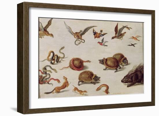 The Enemies of Snakes-Jan van Kessel-Framed Giclee Print