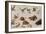 The Enemies of Snakes-Jan van Kessel-Framed Giclee Print