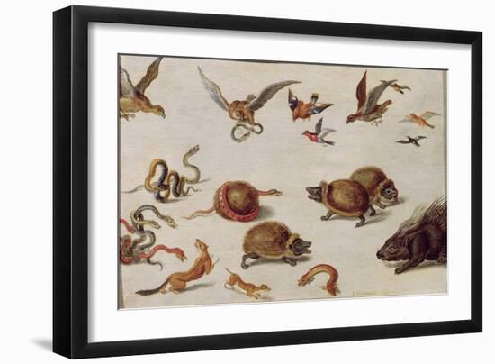 The Enemies of Snakes-Jan van Kessel-Framed Giclee Print