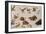 The Enemies of Snakes-Jan van Kessel-Framed Giclee Print