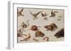 The Enemies of Snakes-Jan van Kessel-Framed Giclee Print