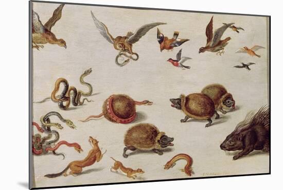 The Enemies of Snakes-Jan van Kessel-Mounted Giclee Print