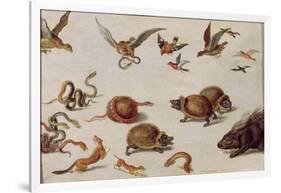 The Enemies of Snakes-Jan van Kessel-Framed Giclee Print