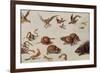 The Enemies of Snakes-Jan van Kessel-Framed Giclee Print