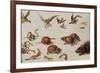 The Enemies of Snakes-Jan van Kessel-Framed Giclee Print