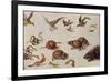 The Enemies of Snakes-Jan van Kessel-Framed Giclee Print