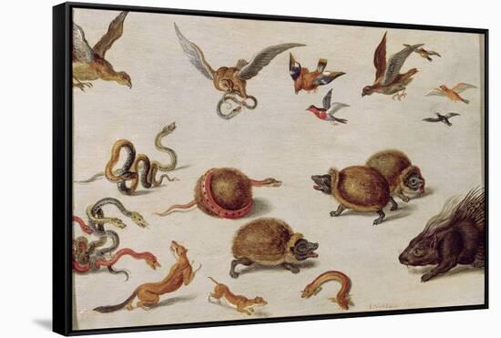 The Enemies of Snakes-Jan van Kessel-Framed Stretched Canvas