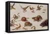 The Enemies of Snakes-Jan van Kessel-Framed Stretched Canvas