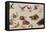 The Enemies of Snakes-Jan van Kessel-Framed Stretched Canvas