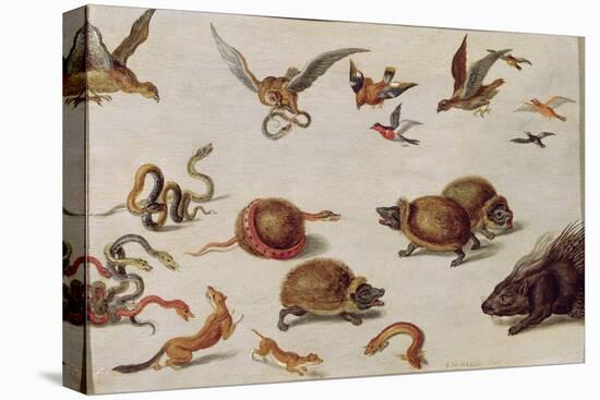 The Enemies of Snakes-Jan van Kessel-Stretched Canvas