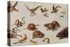 The Enemies of Snakes-Jan van Kessel-Stretched Canvas