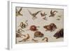 The Enemies of Snakes-Jan van Kessel-Framed Giclee Print