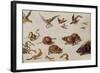 The Enemies of Snakes-Jan van Kessel-Framed Giclee Print