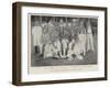 The English Cricketers in the West Indies, 1895-null-Framed Giclee Print