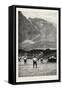 The English Football Team in South Africa, the Last Match at Cape Town-null-Framed Stretched Canvas