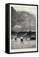 The English Football Team in South Africa, the Last Match at Cape Town-null-Framed Stretched Canvas