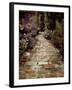 The English Garden-Tim Kahane-Framed Photographic Print