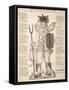 The English Irish Soldier-null-Framed Stretched Canvas