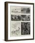 The English Lake District, Illustrated, I-null-Framed Giclee Print