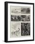 The English Lake District, Illustrated, I-null-Framed Giclee Print