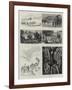 The English Lake District, Illustrated, I-null-Framed Giclee Print