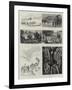 The English Lake District, Illustrated, I-null-Framed Giclee Print