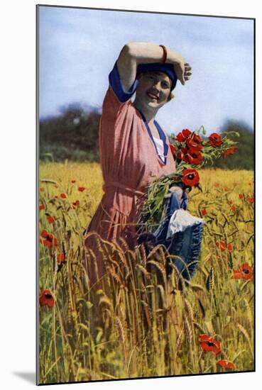 The English Rose, C1922-Horace Walter Nicholls-Mounted Giclee Print