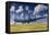 The Enola Gay B-29 Superfortress at Walker Air Force Base-null-Framed Stretched Canvas