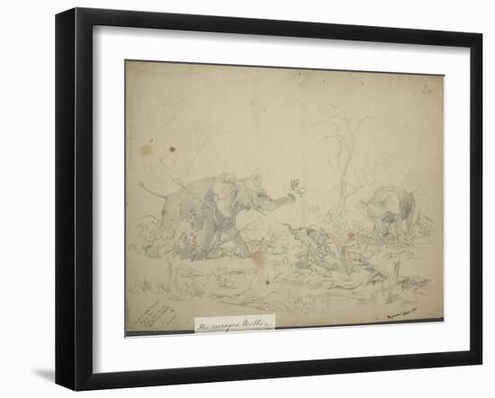 The Enraged Mother, C.1862-Thomas Baines-Framed Giclee Print