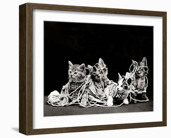 The Entanglement, 1914-Science Source-Framed Giclee Print