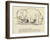 The Enthusiastic Elephant-Edward Lear-Framed Giclee Print