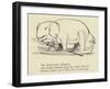 The Enthusiastic Elephant-Edward Lear-Framed Giclee Print