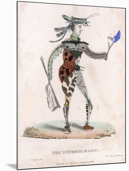 The Entomologist Allegorised a Human Figure Made Up of Insects-null-Mounted Art Print