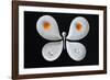 The entomologist's breakfast-Victoria Ivanova-Framed Photographic Print