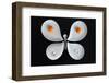 The entomologist's breakfast-Victoria Ivanova-Framed Photographic Print
