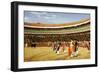 The Entry of the Bull-Jean Leon Gerome-Framed Giclee Print