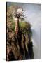 The Epupa Waterfall, Namibia-Grobler du Preez-Stretched Canvas