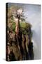 The Epupa Waterfall, Namibia-Grobler du Preez-Stretched Canvas