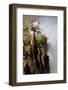 The Epupa Waterfall, Namibia-Grobler du Preez-Framed Photographic Print