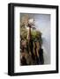 The Epupa Waterfall, Namibia-Grobler du Preez-Framed Photographic Print