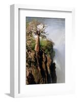 The Epupa Waterfall, Namibia-Grobler du Preez-Framed Photographic Print