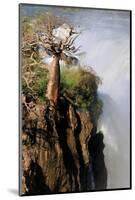 The Epupa Waterfall, Namibia-Grobler du Preez-Mounted Photographic Print