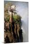 The Epupa Waterfall, Namibia-Grobler du Preez-Mounted Photographic Print