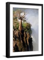 The Epupa Waterfall, Namibia-Grobler du Preez-Framed Photographic Print