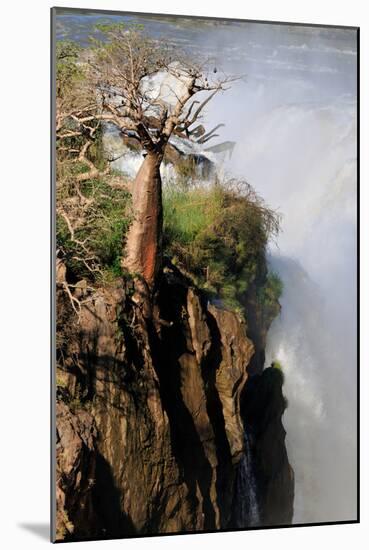 The Epupa Waterfall, Namibia-Grobler du Preez-Mounted Photographic Print