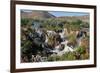 The Epupa Waterfall, Namibia-Grobler du Preez-Framed Photographic Print