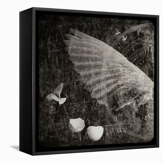 The Equations of Birds-Lydia Marano-Framed Stretched Canvas